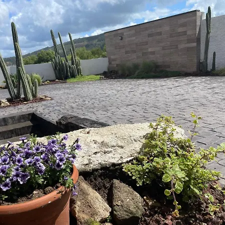 La Casa De Los Cactus * Vigo