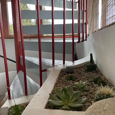 Holiday home La Casa De Los Cactus Vigo