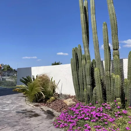 La Casa De Los Cactus Vigo